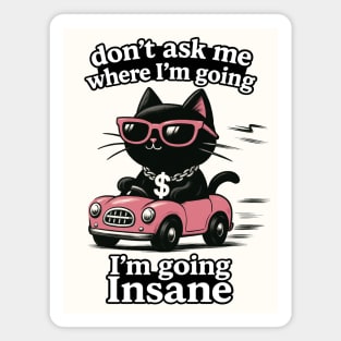 I'm Going Insane Magnet